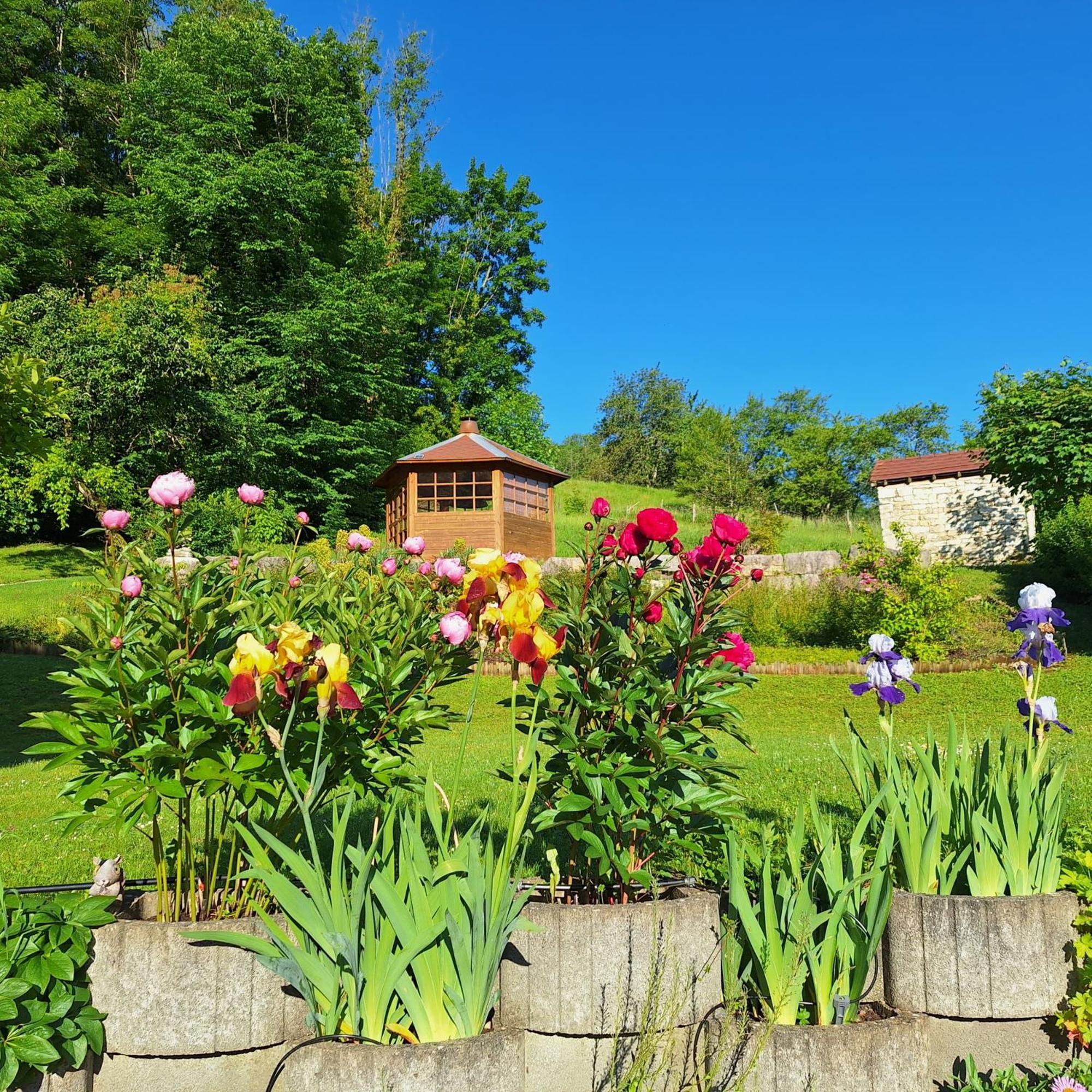 La Maison Villa Salins-les-Bains Eksteriør billede